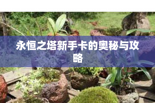 永恒之塔新手卡的奥秘与攻略图片