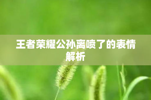 王者荣耀公孙离喷了的表情解析图片