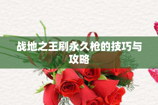 战地之王刷永久枪的技巧与攻略图片