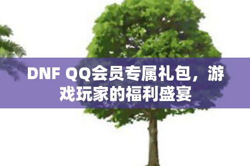DNF QQ会员专属礼包图片