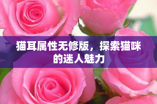 探索猫咪的迷人魅力图片