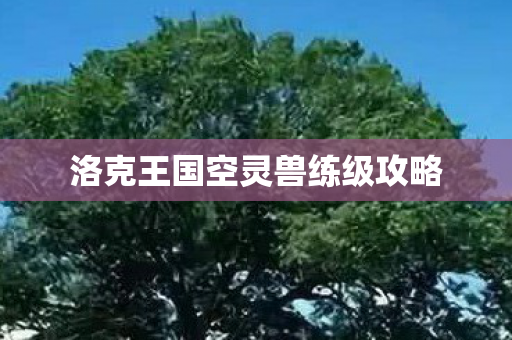 洛克王国空灵兽练级攻略图片