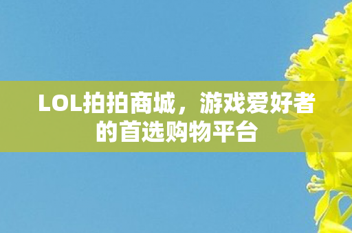 游戏爱好者的首选购物平台图片