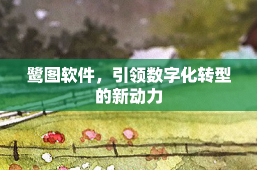 引领数字化转型的新动力图片