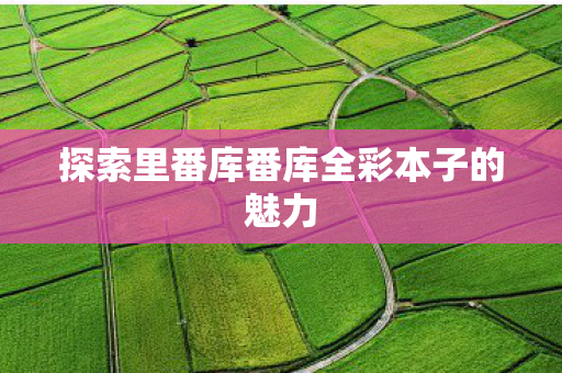 探索里番库番库全彩本子的魅力图片