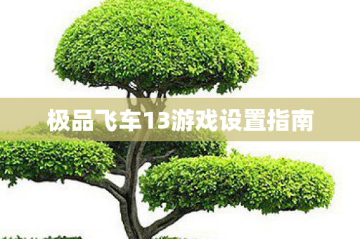 极品飞车13游戏设置指南图片