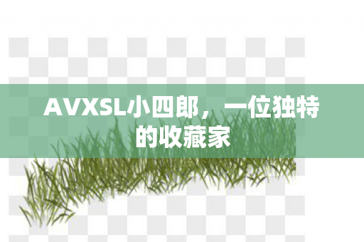 AVXSL小四郎图片