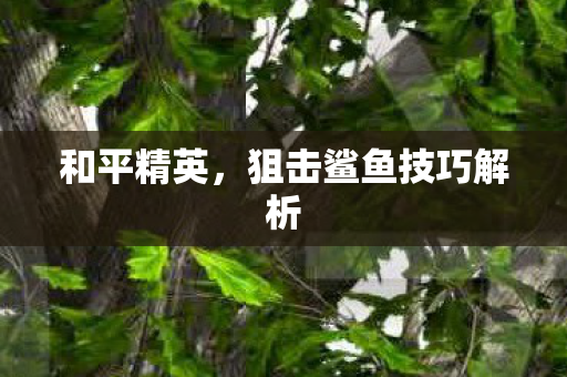 狙击鲨鱼技巧解析图片