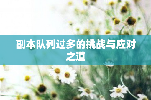 副本队列过多的挑战与应对之道图片