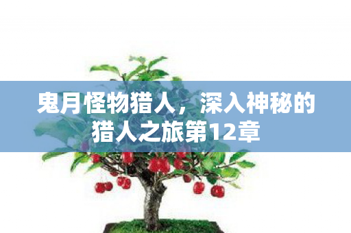 深入神秘的猎人之旅第12章图片
