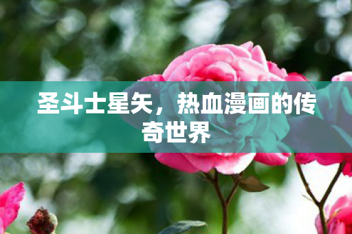 热血漫画的传奇世界图片