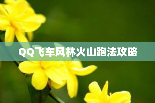 QQ飞车风林火山跑法攻略图片