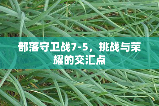 挑战与荣耀的交汇点图片