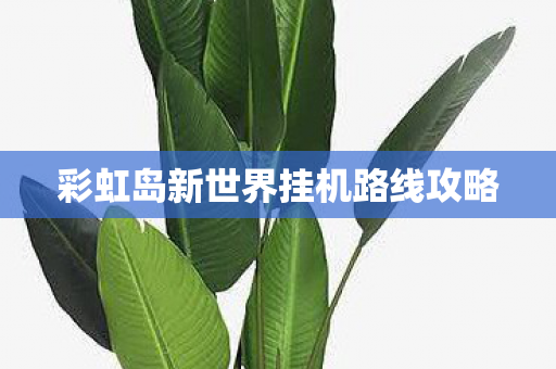 彩虹岛新世界挂机路线攻略图片