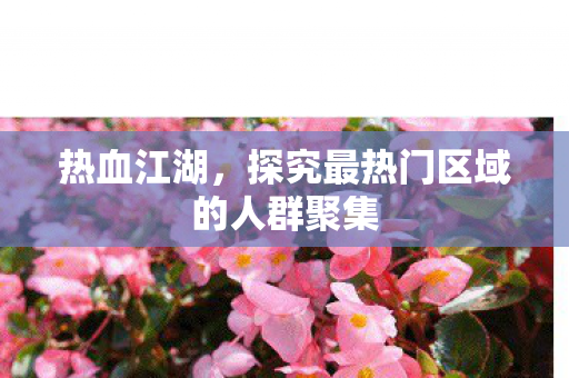 探究最热门区域的人群聚集图片