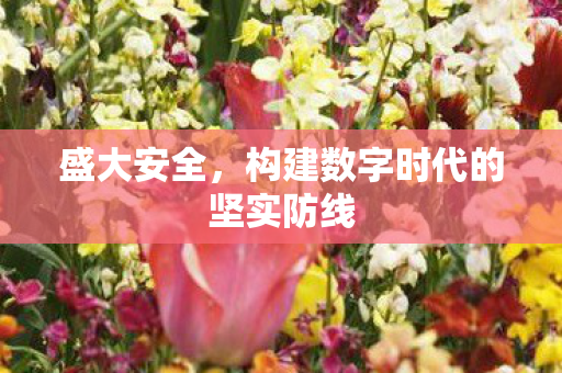 构建数字时代的坚实防线图片