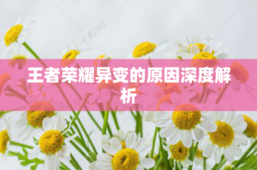 王者荣耀异变的原因深度解析图片