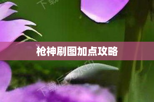 枪神刷图加点攻略图片