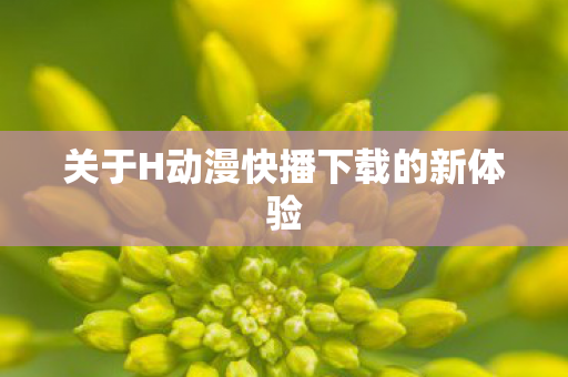 关于H动漫快播下载的新体验图片