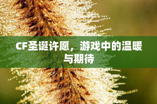 游戏中的温暖与期待图片