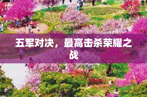 最高击杀荣耀之战图片