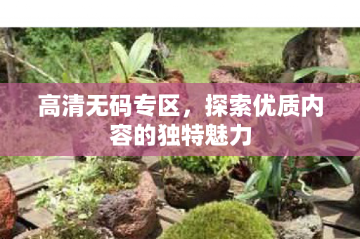 探索优质内容的独特魅力图片