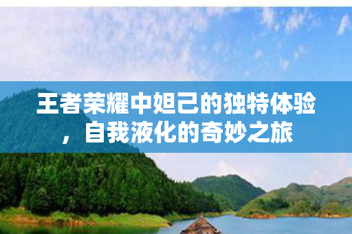 王者荣耀中妲己的独特体验图片