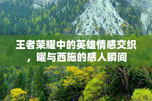 王者荣耀中的英雄情感交织图片