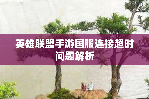 英雄联盟手游国服连接超时问题解析图片