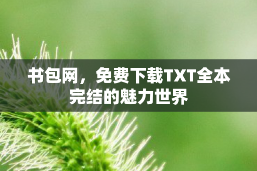 免费下载TXT全本完结的魅力世界图片
