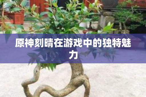 原神刻晴在游戏中的独特魅力图片