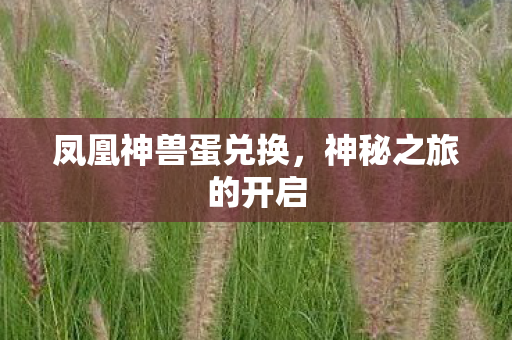 凤凰神兽蛋兑换图片