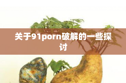关于91porn破解的一些探讨图片