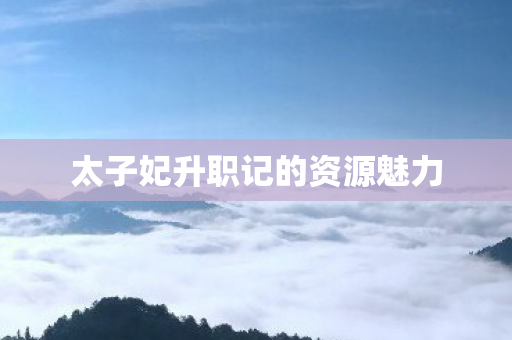 太子妃升职记的资源魅力图片