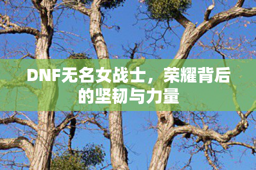 荣耀背后的坚韧与力量图片