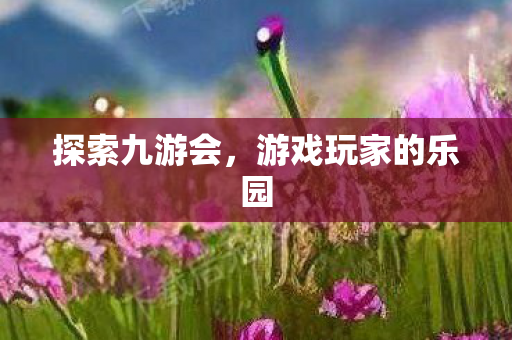 游戏玩家的乐园图片