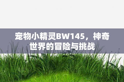 宠物小精灵BW145图片