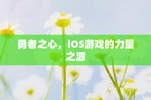 iOS游戏的力量之源图片
