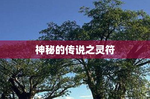 神秘的传说之灵符图片