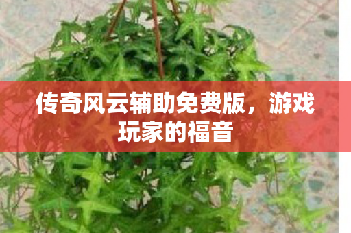 传奇风云辅助免费版图片