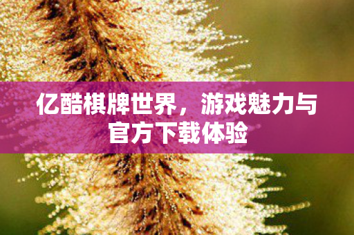游戏魅力与官方下载体验图片