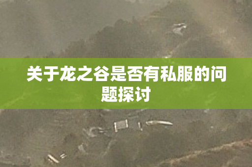 关于龙之谷是否有私服的问题探讨图片