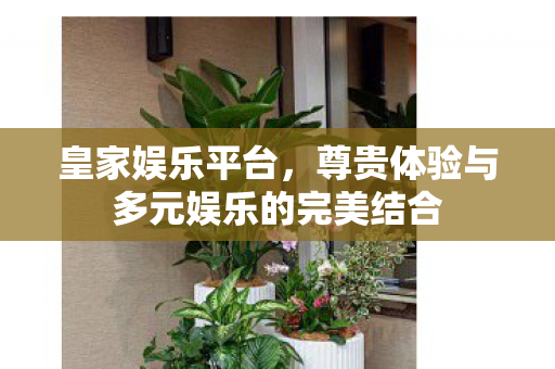 尊贵体验与多元娱乐的完美结合图片