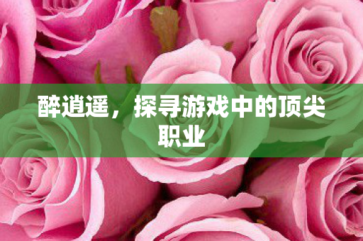 探寻游戏中的顶尖职业图片