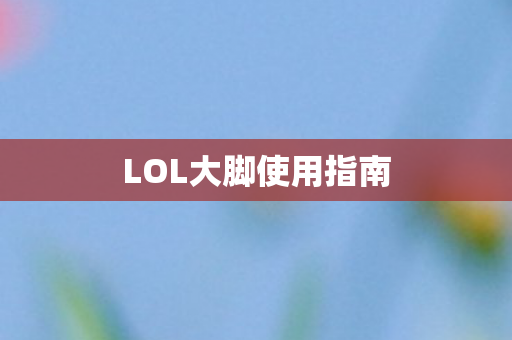 LOL大脚使用指南图片