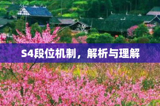 S4段位机制图片