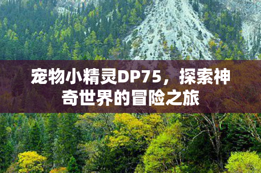 探索神奇世界的冒险之旅图片
