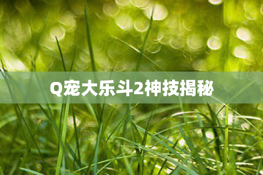 Q宠大乐斗2神技揭秘图片