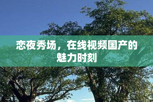 在线视频国产的魅力时刻图片