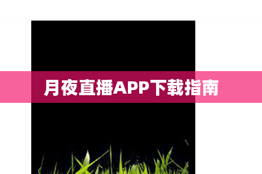 月夜直播APP下载指南图片